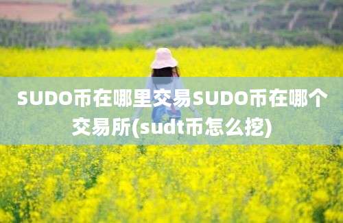 SUDO币在哪里交易SUDO币在哪个交易所(sudt币怎么挖)