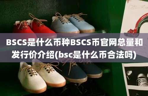 BSCS是什么币种BSCS币官网总量和发行价介绍(bsc是什么币合法吗)