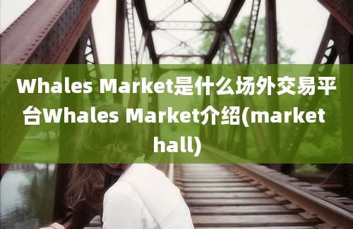 Whales Market是什么场外交易平台Whales Market介绍(market hall)