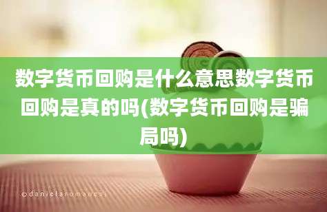 数字货币回购是什么意思数字货币回购是真的吗(数字货币回购是骗局吗)