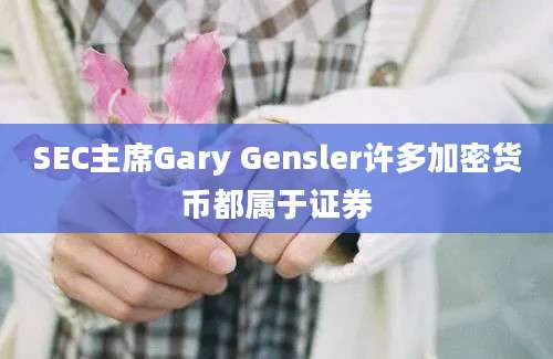 SEC主席Gary Gensler许多加密货币都属于证券