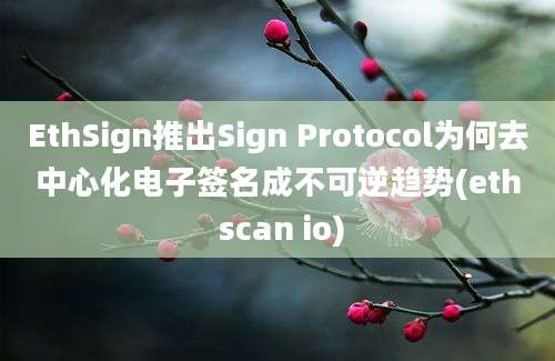 EthSign推出Sign Protocol为何去中心化电子签名成不可逆趋势(eth scan io)