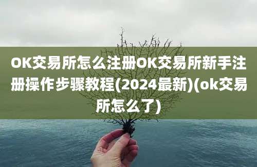 OK交易所怎么注册OK交易所新手注册操作步骤教程(2024最新)(ok交易所怎么了)