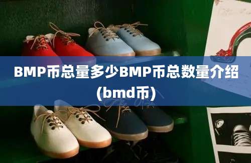 BMP币总量多少BMP币总数量介绍(bmd币)