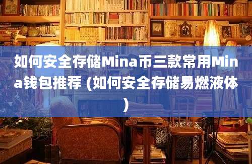 如何安全存储Mina币三款常用Mina钱包推荐 (如何安全存储易燃液体)