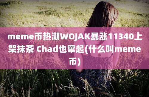 meme币热潮WOJAK暴涨11340上架抹茶 Chad也窜起(什么叫meme币)