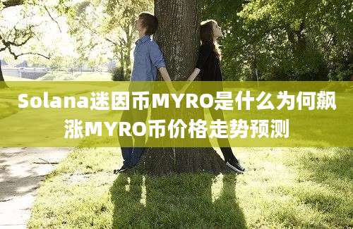 Solana迷因币MYRO是什么为何飙涨MYRO币价格走势预测