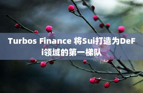 Turbos Finance 将Sui打造为DeFi领域的第一梯队