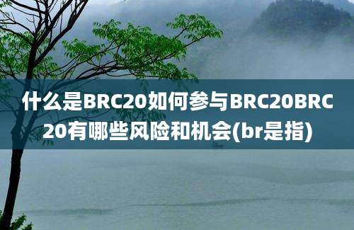 什么是BRC20如何参与BRC20BRC20有哪些风险和机会(br是指)