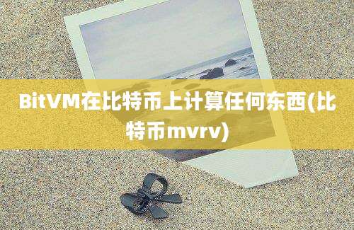 BitVM在比特币上计算任何东西(比特币mvrv)