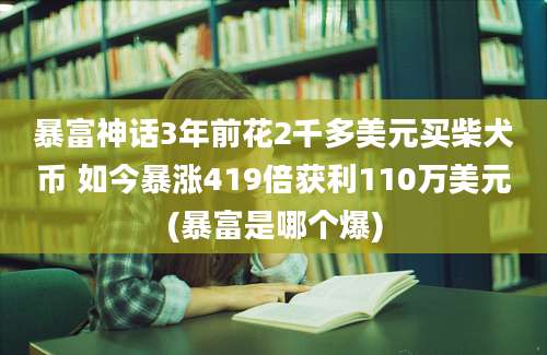 暴富神话3年前花2千多美元买柴犬币 如今暴涨419倍获利110万美元(暴富是哪个爆)