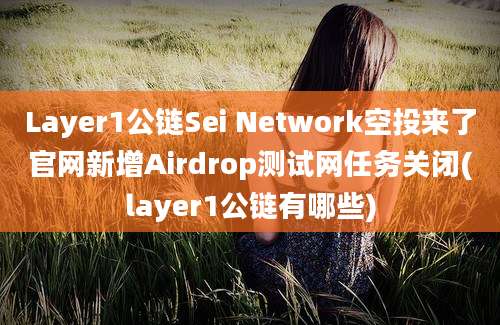 Layer1公链Sei Network空投来了官网新增Airdrop测试网任务关闭(layer1公链有哪些)