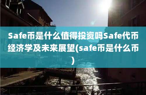 Safe币是什么值得投资吗Safe代币经济学及未来展望(safe币是什么币)