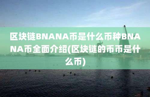 区块链BNANA币是什么币种BNANA币全面介绍(区块链的币币是什么币)