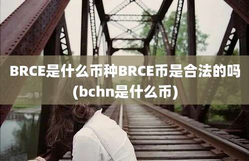 BRCE是什么币种BRCE币是合法的吗(bchn是什么币)