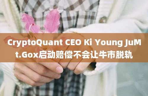 CryptoQuant CEO Ki Young JuMt.Gox启动赔偿不会让牛市脱轨