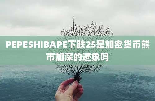 PEPESHIBAPE下跌25是加密货币熊市加深的迹象吗