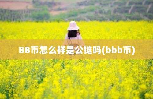 BB币怎么样是公链吗(bbb币)