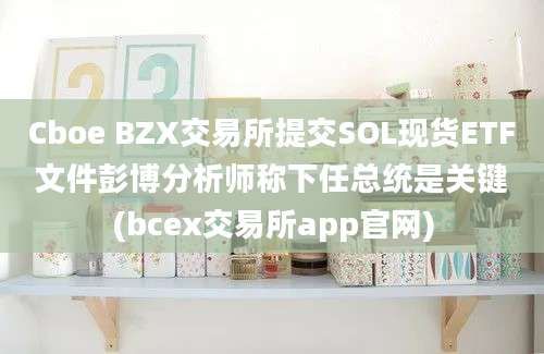 Cboe BZX交易所提交SOL现货ETF文件彭博分析师称下任总统是关键(bcex交易所app官网)