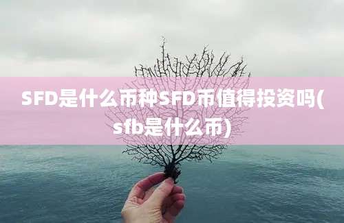 SFD是什么币种SFD币值得投资吗(sfb是什么币)