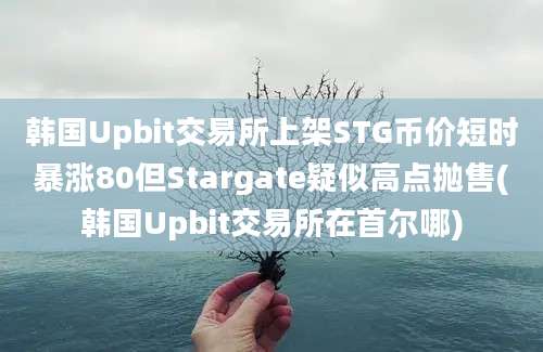 韩国Upbit交易所上架STG币价短时暴涨80但Stargate疑似高点抛售(韩国Upbit交易所在首尔哪)