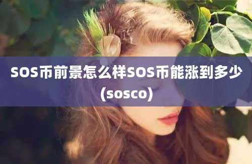 SOS币前景怎么样SOS币能涨到多少(sosco)