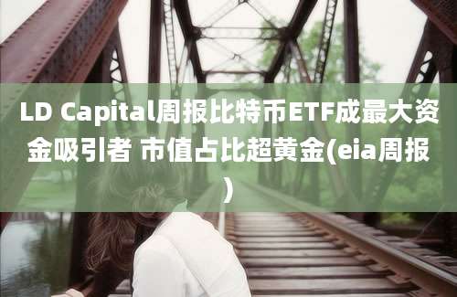 LD Capital周报比特币ETF成最大资金吸引者 市值占比超黄金(eia周报)