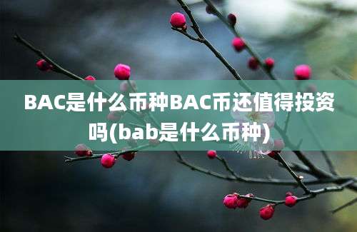 BAC是什么币种BAC币还值得投资吗(bab是什么币种)