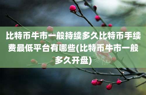 比特币牛市一般持续多久比特币手续费最低平台有哪些(比特币牛市一般多久开盘)