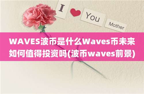 WAVES波币是什么Waves币未来如何值得投资吗(波币waves前景)