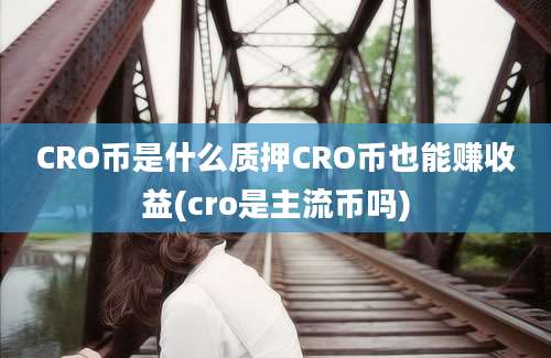 CRO币是什么质押CRO币也能赚收益(cro是主流币吗)