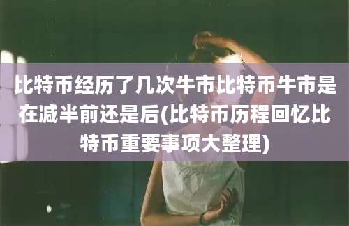 比特币经历了几次牛市比特币牛市是在减半前还是后(比特币历程回忆比特币重要事项大整理)