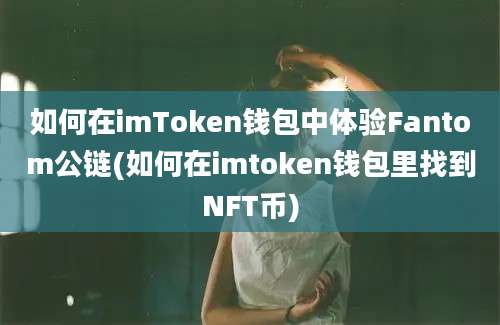 如何在imToken钱包中体验Fantom公链(如何在imtoken钱包里找到NFT币)