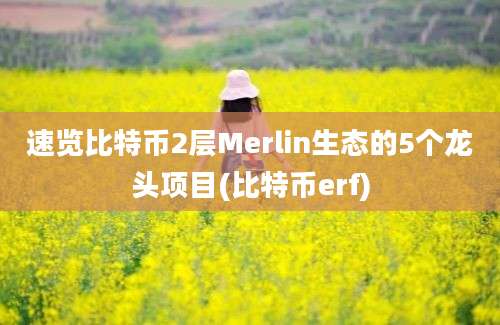 速览比特币2层Merlin生态的5个龙头项目(比特币erf)