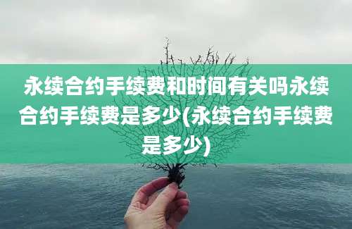 永续合约手续费和时间有关吗永续合约手续费是多少(永续合约手续费是多少)