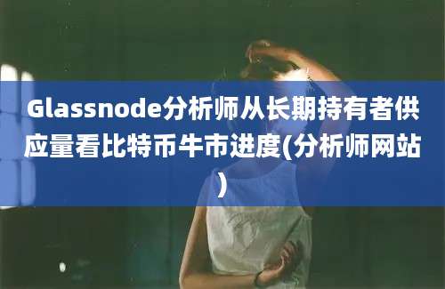 Glassnode分析师从长期持有者供应量看比特币牛市进度(分析师网站)