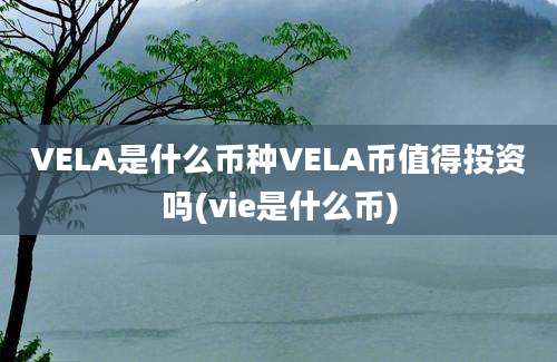 VELA是什么币种VELA币值得投资吗(vie是什么币)