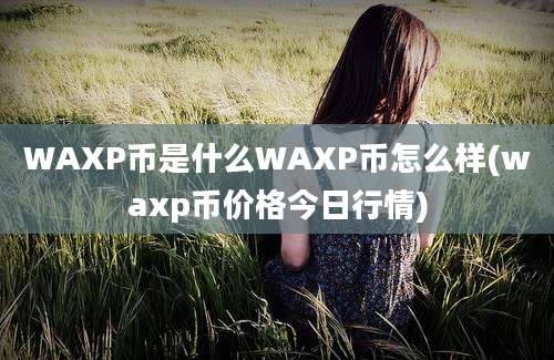 WAXP币是什么WAXP币怎么样(waxp币价格今日行情)