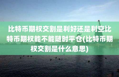 比特币期权交割是利好还是利空比特币期权能不能随时平仓(比特币期权交割是什么意思)