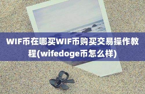 WIF币在哪买WIF币购买交易操作教程(wifedoge币怎么样)