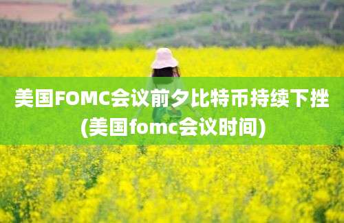 美国FOMC会议前夕比特币持续下挫(美国fomc会议时间)