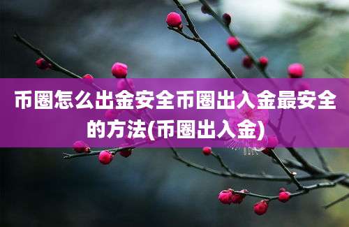 币圈怎么出金安全币圈出入金最安全的方法(币圈出入金)