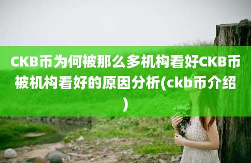 CKB币为何被那么多机构看好CKB币被机构看好的原因分析(ckb币介绍)