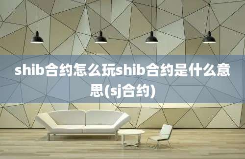 shib合约怎么玩shib合约是什么意思(sj合约)