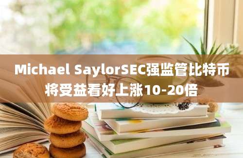 Michael SaylorSEC强监管比特币将受益看好上涨10-20倍