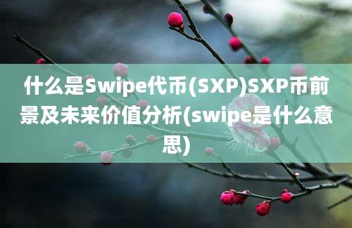 什么是Swipe代币(SXP)SXP币前景及未来价值分析(swipe是什么意思)