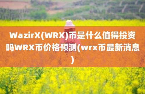 WazirX(WRX)币是什么值得投资吗WRX币价格预测(wrx币最新消息)