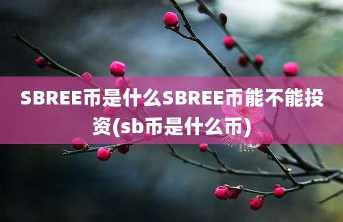 SBREE币是什么SBREE币能不能投资(sb币是什么币)