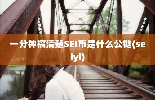 一分钟搞清楚SEI币是什么公链(seiyi)