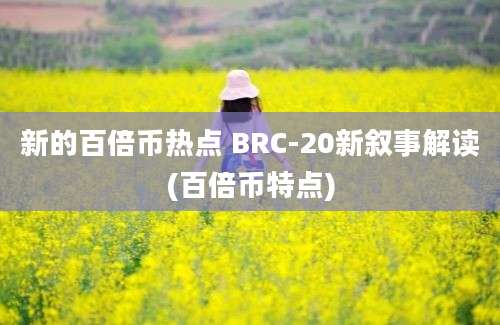 新的百倍币热点 BRC-20新叙事解读(百倍币特点)